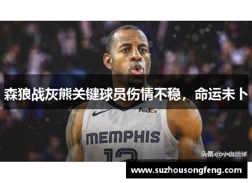 森狼战灰熊关键球员伤情不稳，命运未卜